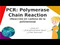 PCR (Polymerase Chain Reaction), Reacción en Cadena de la Polimerasa.