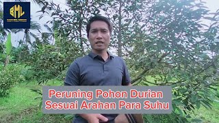 Peruning Pohon Durian Sesuai Arahan Para Suhu Perdurian. Sambil Ngebolang Bareng BML