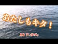 巨大すぎて堤防から海に引きずり込まれる女性に遭遇！黄灯あって本当によかったわ（895話目）