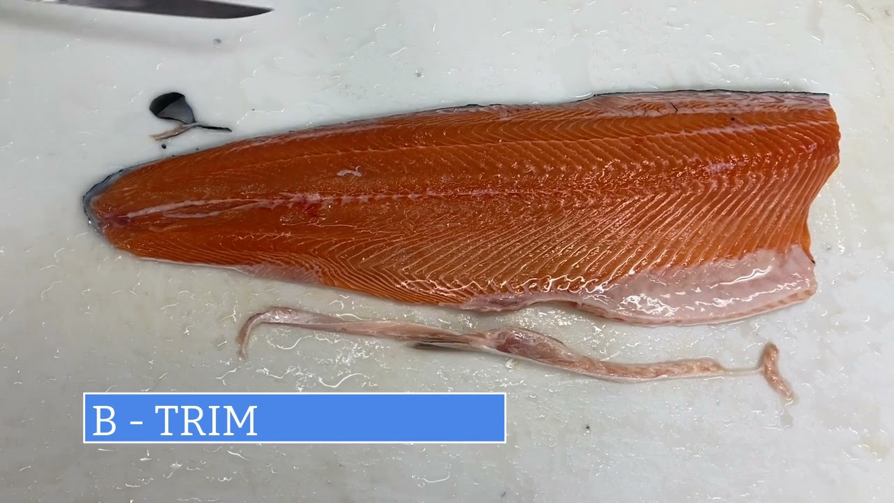 Different Salmon Trims - YouTube