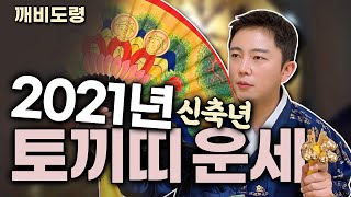 [깨비도령] 2021년 신축년 토끼띠 운세는? 나이별 미리 보시고 재수 많이 보세요~