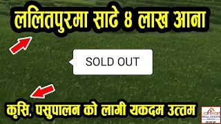 ललितपुरमा साडे ४ लाख आन जग्गा , किर्षी, पसुपालन को लागी एकदम उत्तम - Sasto Jagga Lalitpur ma - Land