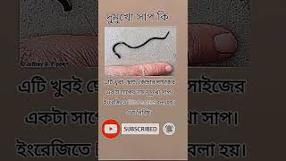 শিক্ষানীয় পোস্ট #motivationvideo  #you tube shorts#sabbir jp 07