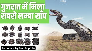 Scientists discover enormous fossil of the world’s 'largest snake’ in Kutch, Guj