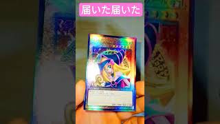 遊戯王　ブラックマジシャンガール　レリーフ