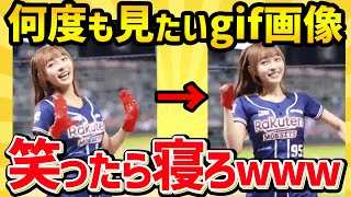 【2chおもしろスレ】このgif画像で笑ったら寝ろwww【コメ付き】