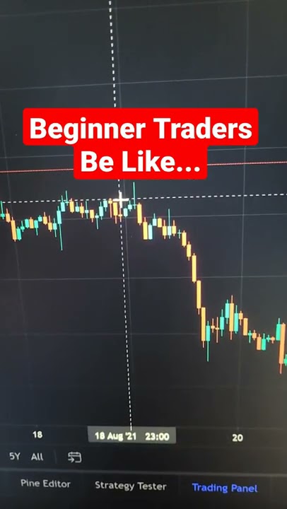 Beginner traders from their first day, be like #shorts
