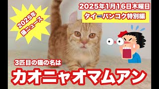 【Live配信】22:45／16-Jan2025★ぷらぷらっとバンコク🇹🇭「猫★カオニャオマムアンお迎えライブ」#bangkok #thailand