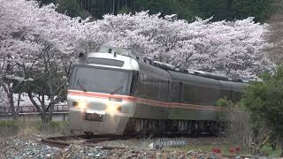 桜の季節「特急南紀」紀勢本線 伊勢柏崎～阿曽