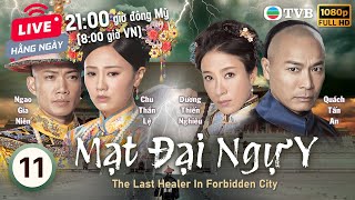 TVB Mạt Đại Ngự Y (The Last Healer In Forbiden City) 11/20 | Quách Tấn An, Dương Thiến Nghêu | 2016