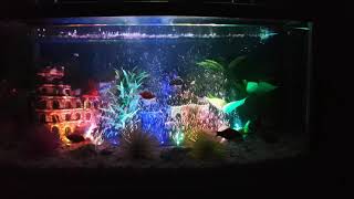 Aqueon flexible led bubble wand aquarium Goldfish