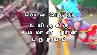 #பொன்பேத்தி #மருது #பாண்டி #வெள்ளாளர் #தேவர் #ஐயா #அவருடைய #மாடு #முதலானவை #தனியா