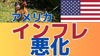 【鳥インフルエンザで大高騰！】CPIインフレ悪化　値上がりが始まる！