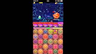 パズドラ 伝説の丘陵 チャレンジモード 赤ソニア