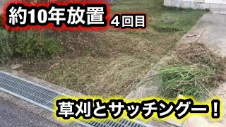 【約10年放置の芝生】第４回　528日目復活編　２週間前に撒いた除草剤が全く効いていない。。。急遽、除草作業とサッチングー！！