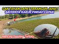 GAK TAHAN DENGAN GANGGUAN PENGHUNI SPOT YANG  || MANCING SAGULING TERBARU 2024