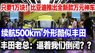 不要10万！只要1万！比亚迪新车正式上市，配备高阶智能驾驶辅助系统天神之眼，后续还有黑科技。人手一辆比亚迪不是梦！丰田：这是比我倒闭？#比亚迪e1#比亚迪#比亚迪f0