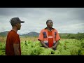 A day with Young Tobacco farmers  