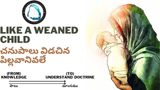 Like A Weaned Child  19/1/25M   Thorlikonda,Armoor,End time message Nizamabad