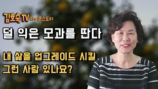 덜 익은 모과를 딴다 /내 삶을 업그레이드 시킬 그런 사람 있나요?/김호숙의 라이프스토리4화