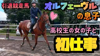 競走馬から乗馬になる為に…。オルフェーヴルの子供に高校生の女の子が初めて乗りました。『引退競走馬・シュテルンシチー君』【ツルマルボーイ様のシモべ】