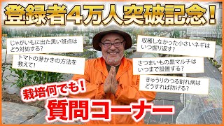 有料級！栽培何でも質問コーナー！トマトの脇芽の取り方！きゅうりのつる割れ病対策！春夏野菜など家庭菜園の疑問にバンバン回答！