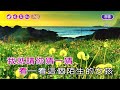 我是誰~楊林~女bm調~伴奏~導唱~速度 10甲