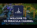 VII MIRACULA architectural studio — Who we are?