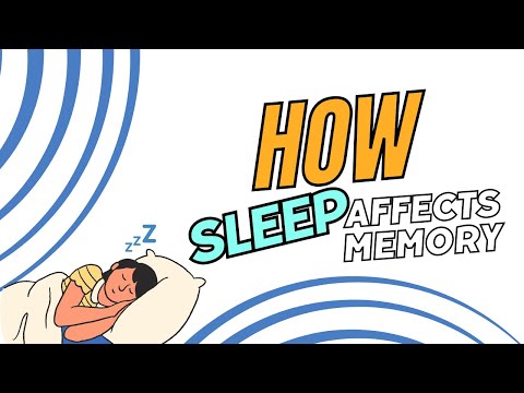 How Sleep Affects Memory - YouTube