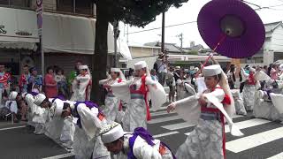 天空しなと屋しん 第65回よさこい祭り（菜園場競演場）