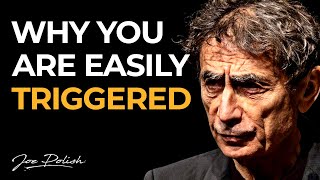 What No One is Telling You About Trauma and Addiction | Gabor Mate & Joe Polish