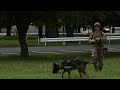 374th security forces squadron s mwd k 9 unit broll