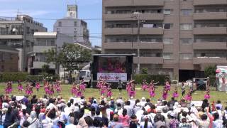 湘南よさこい祭り２０１５－シャイニー☆なるっこきっず