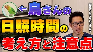 【質問コーナー】インコ桃色の尿が出た翌日朝に冷たくなっていた…考えられる原因は？幼鳥の頃から水分多めの便が出る。これは何故？うさぎ去勢手術後に気を付けるべきことは？などにお答えしました！