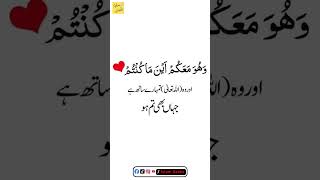 Allah tumhary sath ha | #quran #tarjuma #beautiful #ayat