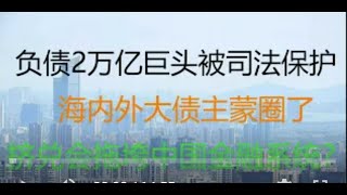 冷山时评：接二连三挤兑，这个负债2万亿巨头被紧急司法管辖！海内外债主蒙圈了！大而不倒？中国金融系统山雨欲来！（20210809第482期）