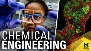 Chemical Engineering at the University of Michigan