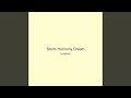Storm Harmony Dream