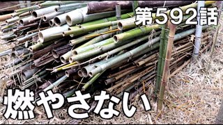 私が大量の竹を何故燃やさないのか？その理由をお話しします｜竹藪整備の現状報告