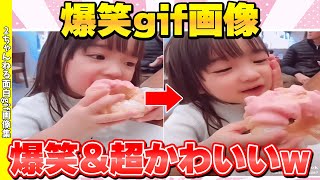 【神回】このgif画像、マジで大爆笑不可避www【2ch面白い画像】【ゆっくり解説】#7