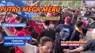 GEBYAK KESENIAN BANTENGAN PUTRO MEGA MERU_KERASUKAN DEMIT JARANAN_obrak abrik kalangan + penonton.