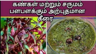 #sivappu ponnanganni keerai benefits in tamil#சிவப்பு பொன்னாங்கன்னி கீரை@ spad kitchen