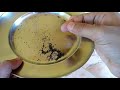 how to make cuscus from thulasi എങ്ങനെ തുളസിയിൽ നിന്നും കസ്കസ് ഉണ്ടാക്കാം gadjet 4 u