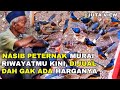 NASIB PETERNAK MURAI RIWAYATMU KINI, AKIBAT PERSAINGAN HARGA SAMA PEDAGANG