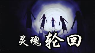 万维钢：为何轮回总在你身边？为何死后只「就近」投胎？科学揭示轮回真相 《万万没想到》