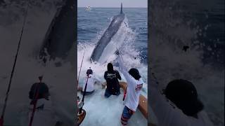 Giant Swordfish Caught by Fishermen! 🦭🦈🐙🪸 #giantcreature #deepseafishing