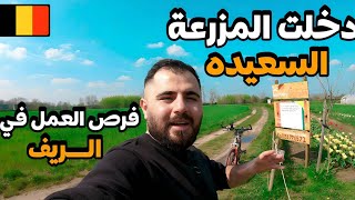 الربيع في ريف بلجيكا الساحرة| فرص العمل| يوميات عراقي في مزرعة السعيدة 🇧🇪