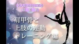 【大人からはじめる超柔軟】上肢トレーニング編！