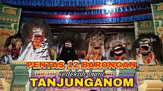 Barongan Singo Lodro Tanjung Live Sedekah Bumi Tanjunganom