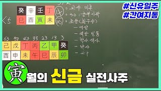 [중급] 201강 인(寅)월의 신금 실전사주🐯